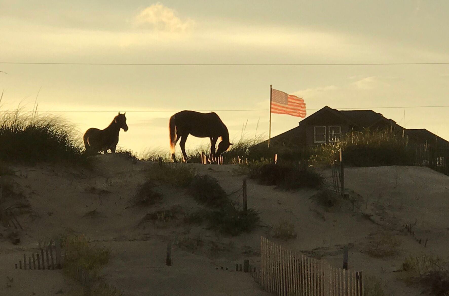 Corolla Beach, NC 2019